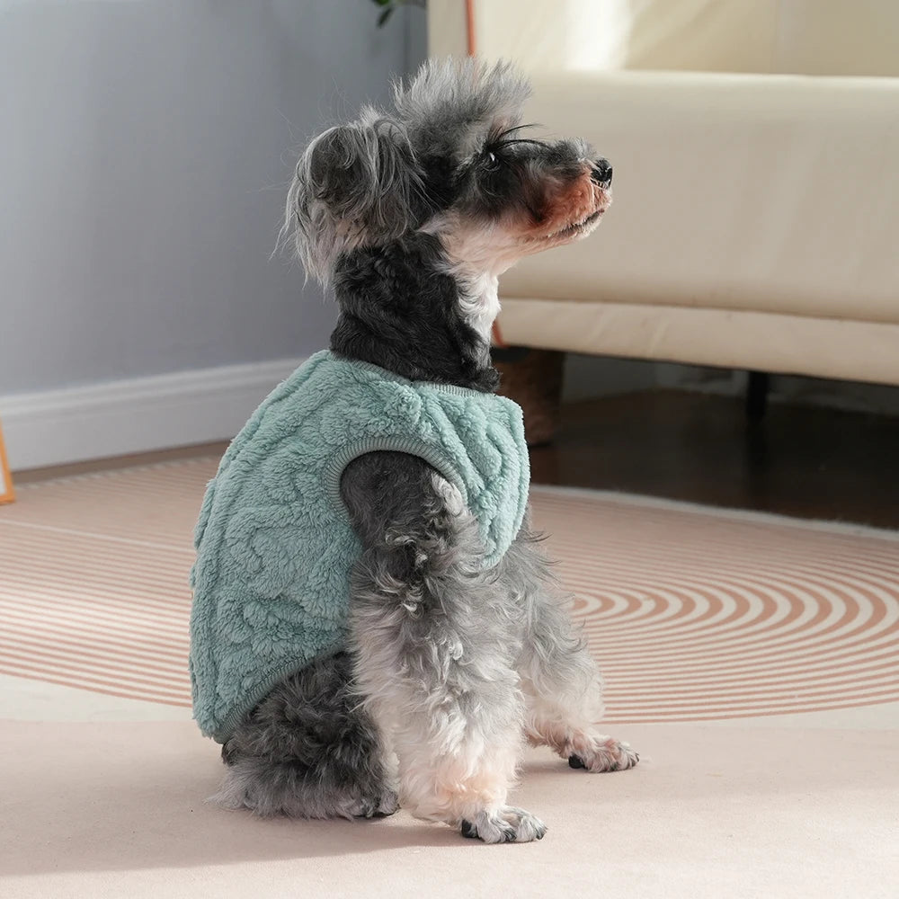 Soft Cozy Cat Clothes Autumn Winter Warm Fleece Sweatshirt for Small Dogs Puppy Kitten Jacket Coat Pet Sphynx Costume Sweater