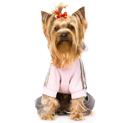 30PCS  Pet Dog Cat Puppy Grooming Bows Pet Hair Accessories Decorate Hair for Small Dog Hair Rubber Band Dog Supplier