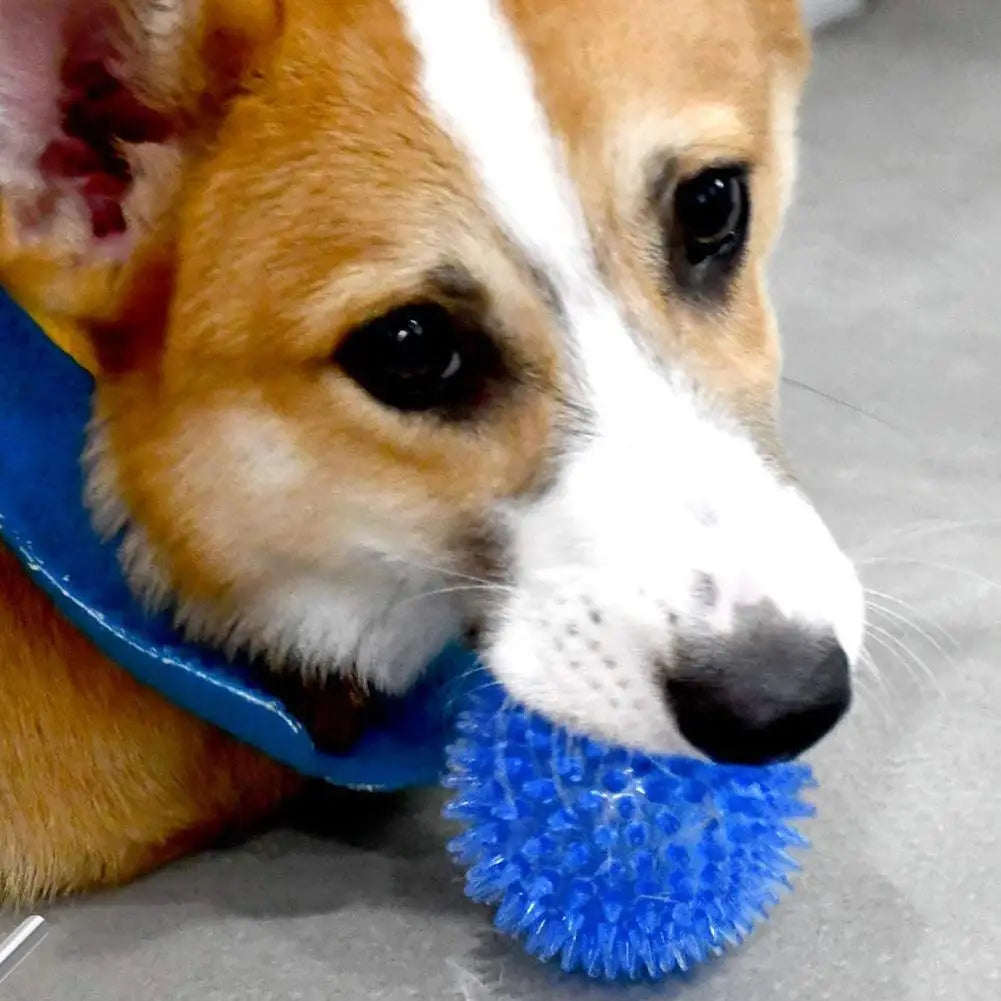 Pet Dog Toys Cat Puppy Sounding Toy Polka Squeaky Tooth Cleaning Ball TPR Training Teeth Chewing Toy Thorn Balls Pet Accessories