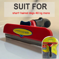 (XL)Short hair dogs