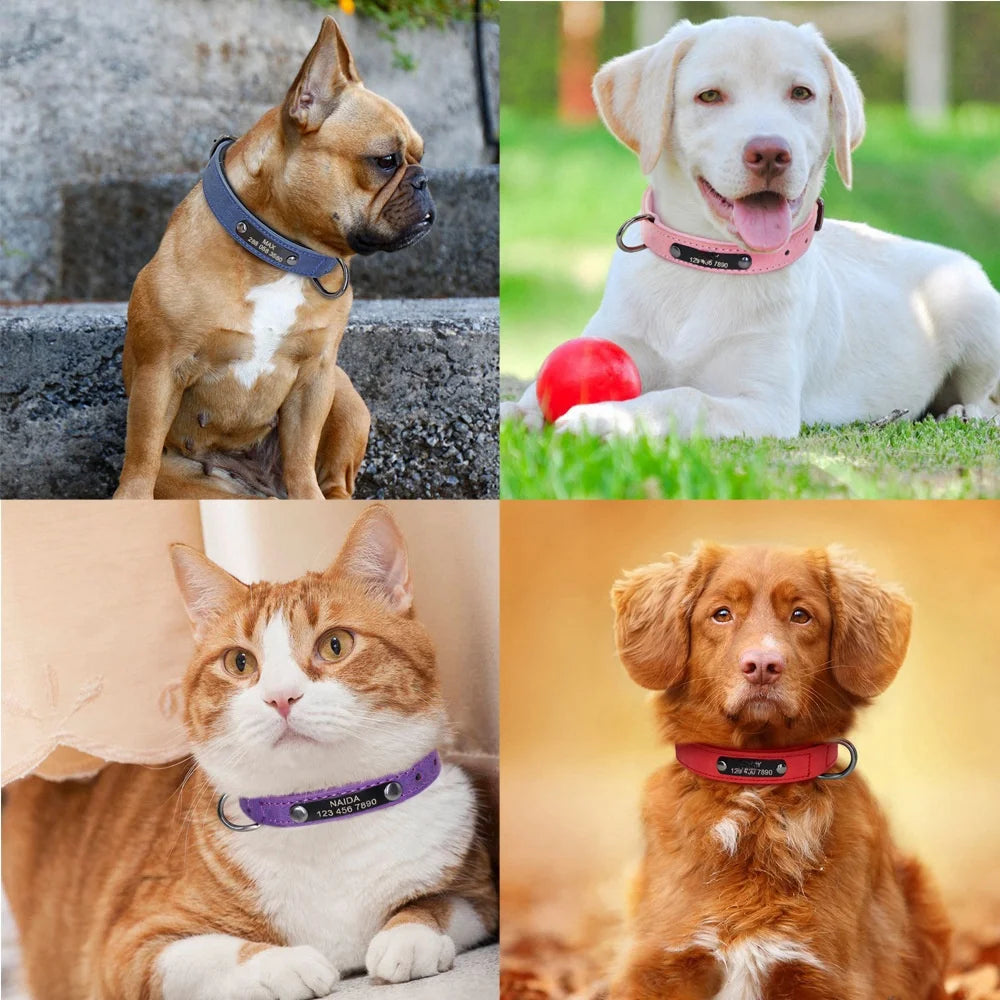 Customizable Leather Dog Collars Personalized Engraved Nameplate, Soft Padded Collar with Custom ID Tag, Adjustable for All Pet