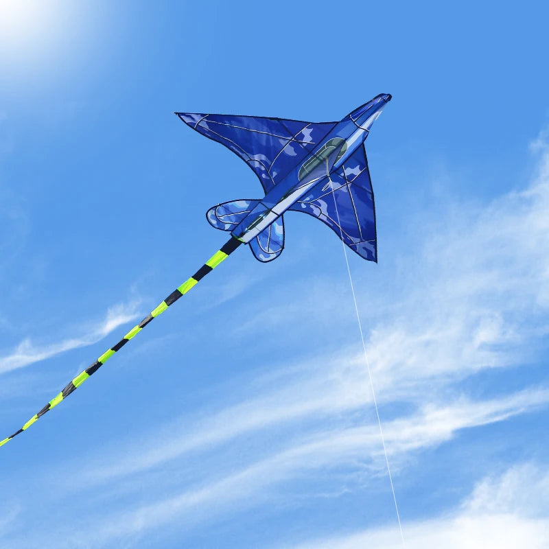 YongJian Plane Kites With Handle And Line Good Flying kites for kids ages 14+Outdoor Fun Sports kites