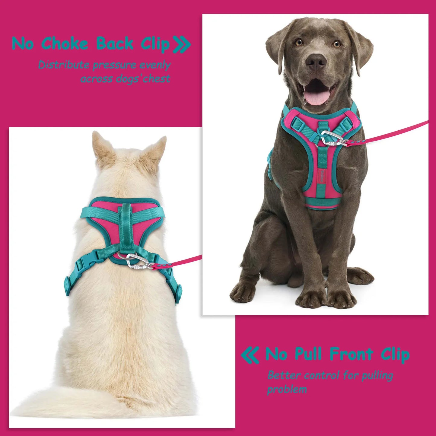 Splicing Colors Breathable For Medium No Pull Dog Harness for large Small dogs Adjustable Chest Strap Dog Harness Personalized