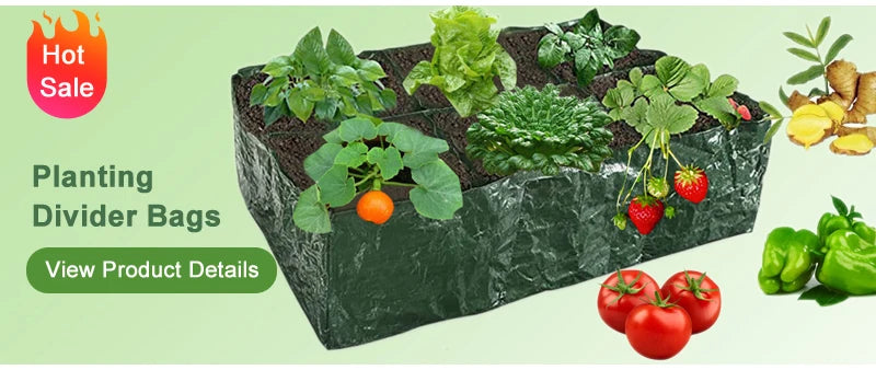 Blackout Curtain Blinds Without Drilling Window Roller Interior Bedroom Roll Black Out Rolls Blind Suction Cup Home Decor Items