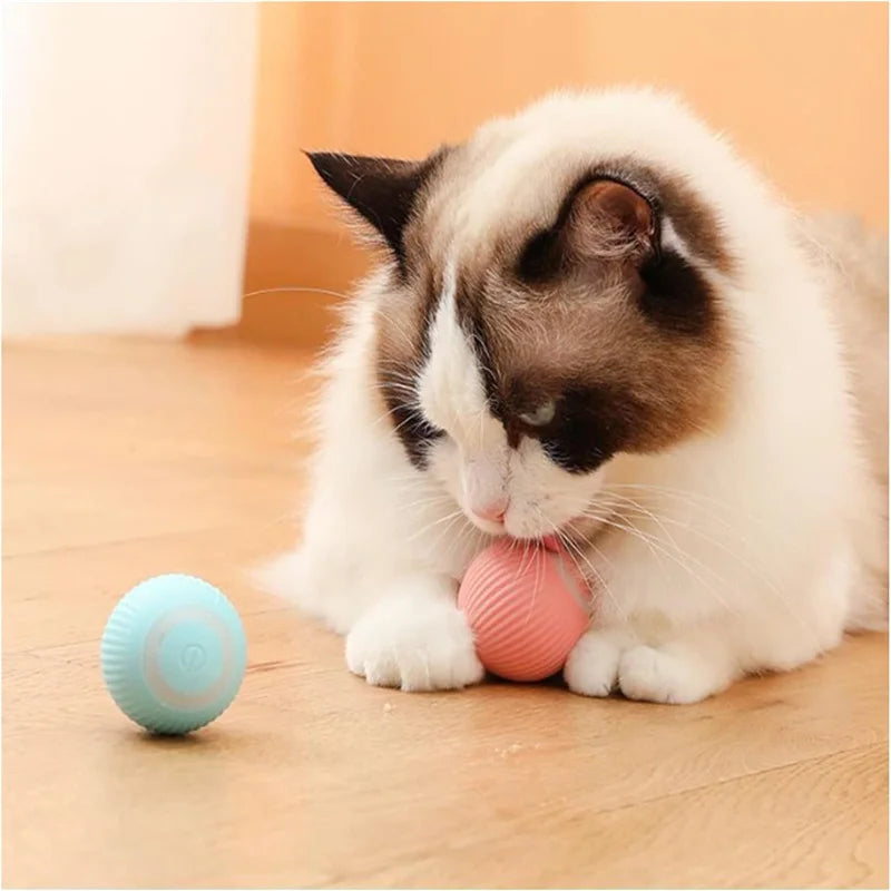 Smart Cat Toys Ball Automatic Interactive Pets Electric Rolling Teaser USB Rechargeable Kitty Moving Bouncing Ball Birthday Gift