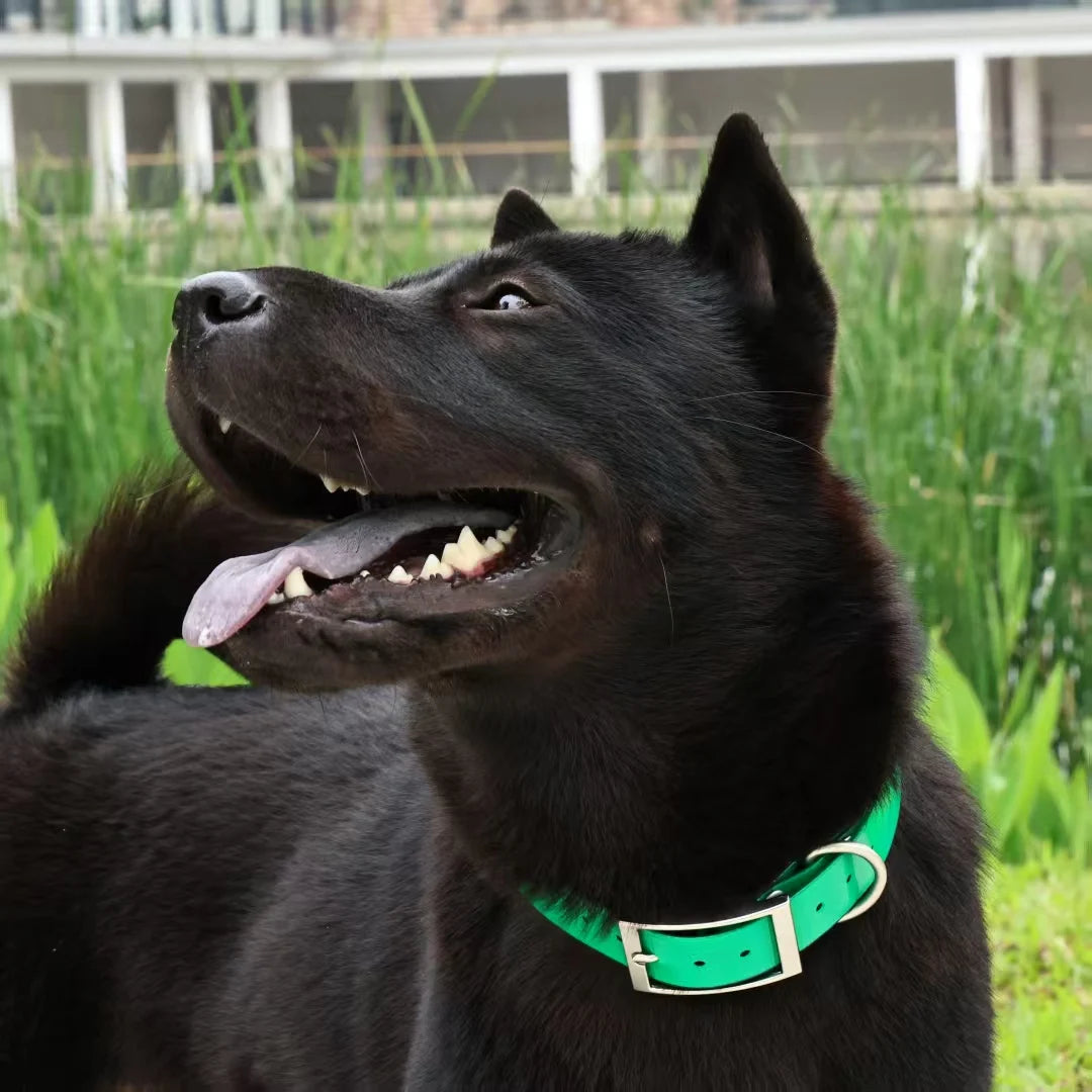 2.5cm Wide Heavy Duty TPU Dog Collar Waterproof Hunting Adjustable Pet Collar 8 Colors For Large Medium Dogs Outdoor Training