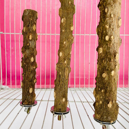 10/15/20 cm Bird Claw Beak Grinding Bar Standing Stick Claw Bird Supplies Cage Accessories Parrot Station Grinding Standing