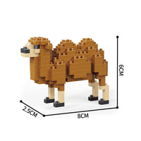Camel Blocks