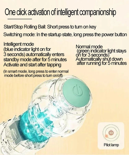 New Interactive Cat Ball Automatic Indoor Cat Toy Electric Roll Ball Cat Games MWJ01