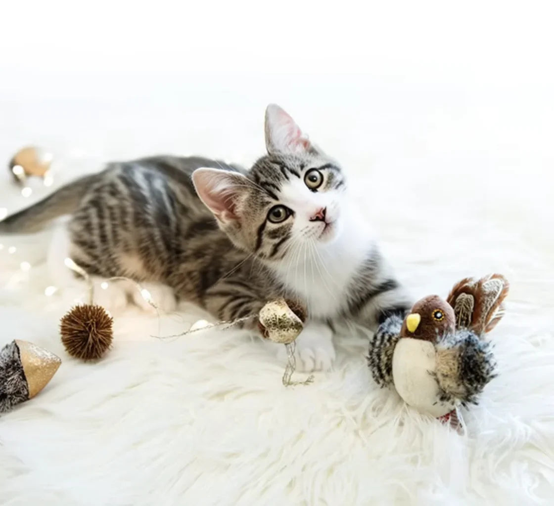Cat interactive toy electric simulated bird chirping plush cat toy pet feather teaser bird-shaped toy