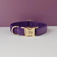 Dog collar16