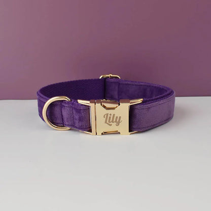Velvet Collar Free Engrave Dog Collar Leash For Medium Big Pet Necklace Dog Accessories Dog Collars