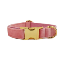 Dog collar01