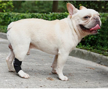Updated Protects Bandage Dog Arthritis Protector Cover Dog Leg Support Dogs Hock Joint Brace Pet Knee Pads Dogs Injury Recovery