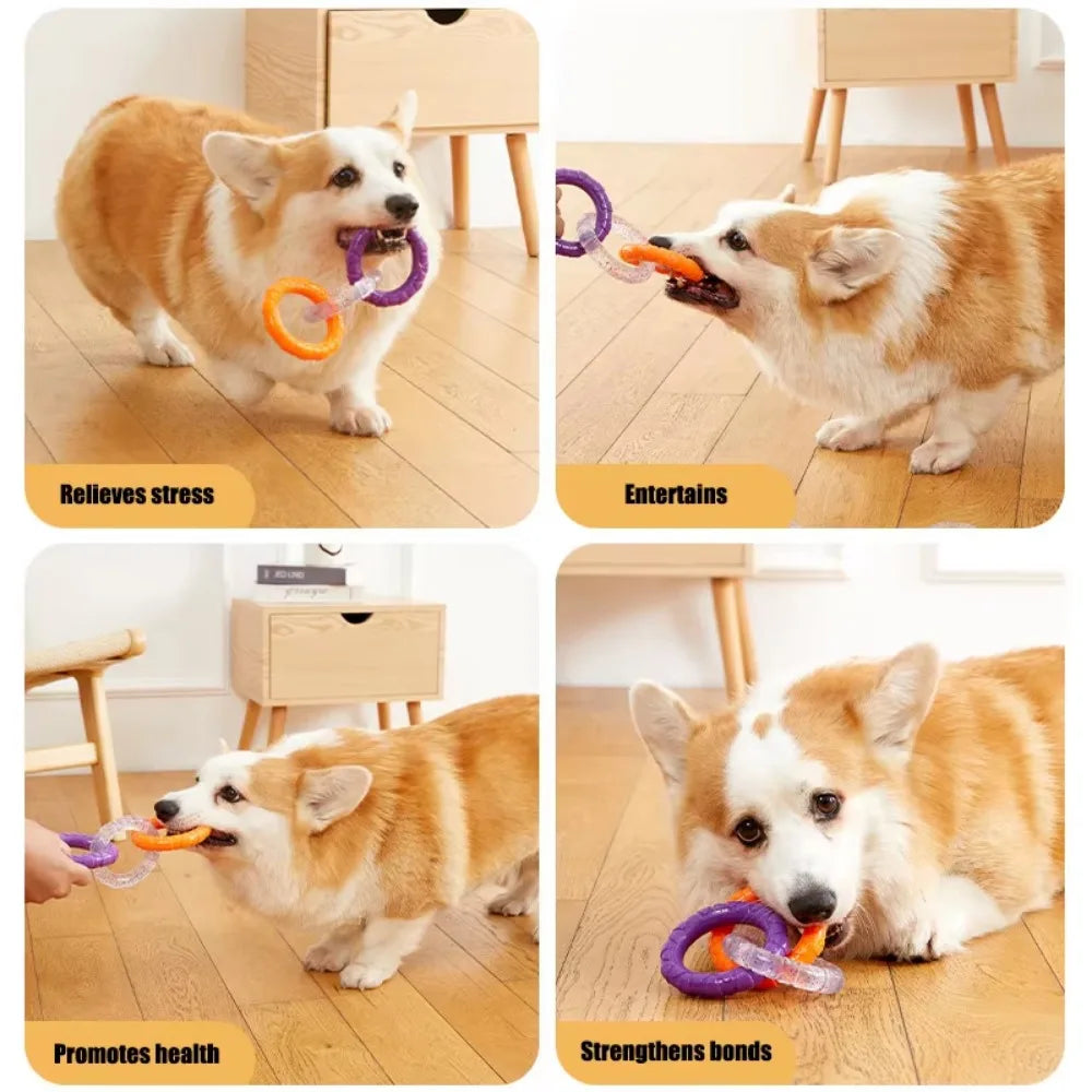 Pet Throwing Stick, Throwing Device, Throwing Toy, Dog And Cat Interactive Ball Picking Pet Toy Training Toys Pet Supplies