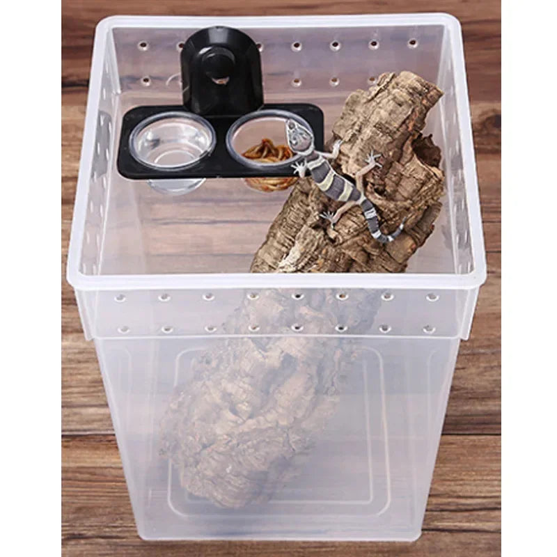Reptiles & Amphibians Lizard Gecko Suction Cup Feed Bowls Food Container with Bowl for Reptile Food and Water Feeding