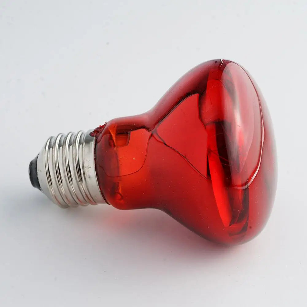 E27 Poultry Heating Bulb 25W-100W Infrared Insulation Heating For Reptiles Plants Amphibians Pets Livestock Lamp Tools
