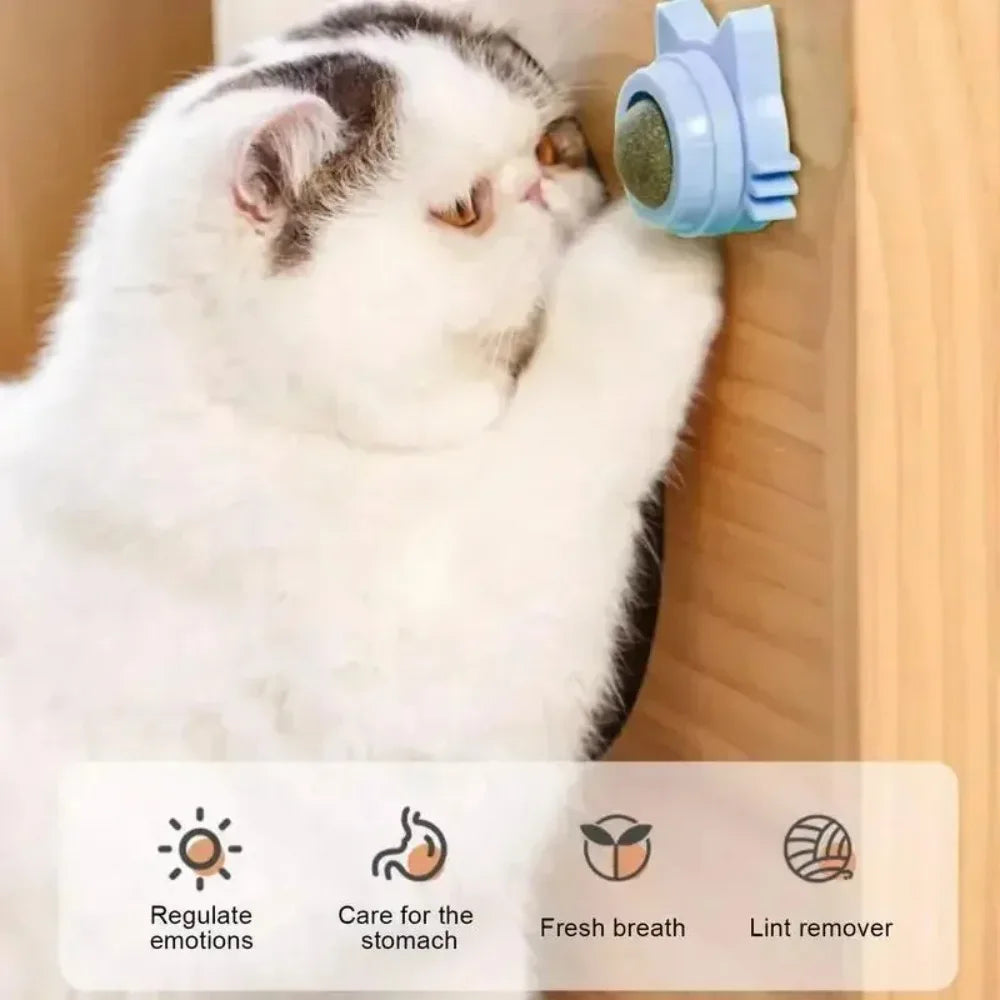 Lickable Catnip Balls Toy, Teeth Cleaning Chew Toy with Natural Catnip for Kittens & Cats, Sticks to Wall & Window