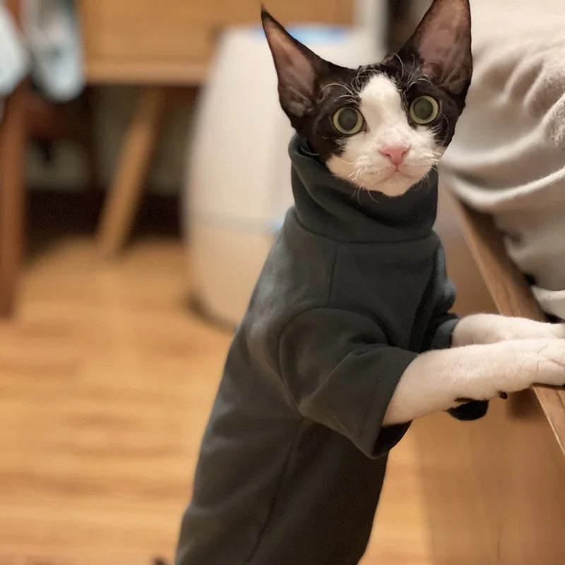 Sphynx Cat Clothes Baby Soft Cotton Fall Winter Kitten Small Dog Clothes for Cornish Devon Cat Costume Hairless Pet Clothes