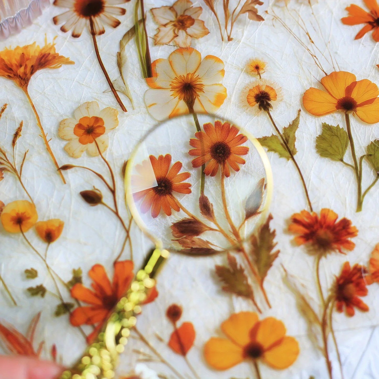 Journamm 50Pcs Transparent Decoration Flower Stickers for Scrapbooking PET Floral Stickers for Journaling Scrapbooking