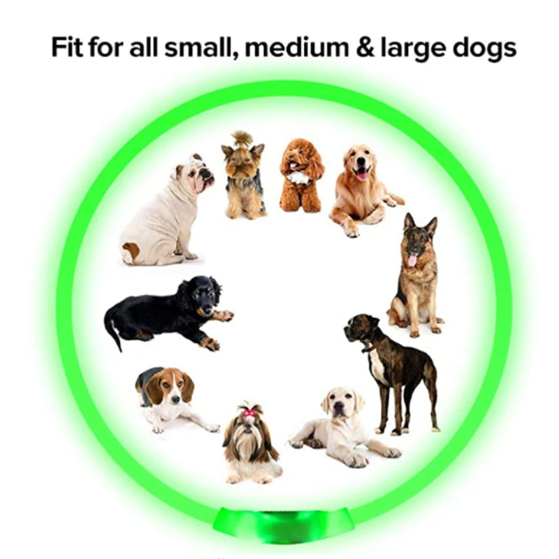 USB Charging Necklace Led Luminous Dog Collar Light , Flashing DIY Glowing Safety Anti Lost Cat Dogs Collar Accessories Supplies