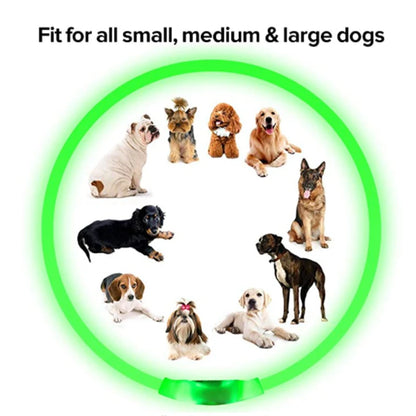 USB Charging Necklace Led Luminous Dog Collar Light , Flashing DIY Glowing Safety Anti Lost Cat Dogs Collar Accessories Supplies