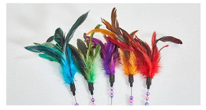 Cat Toy Feather Cats Sticks Teaser Cat Toys Interactive Spring Handle Kitten Toys with Bell Training Cats Stick Toy Pet Supplies