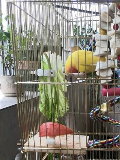 Cute Small Pet Bird Food Holder Parrot Fruits Vegetables Clip Cuttlefish Bone Feeder Device Clamp Bird Cage Accessories Oiseaux