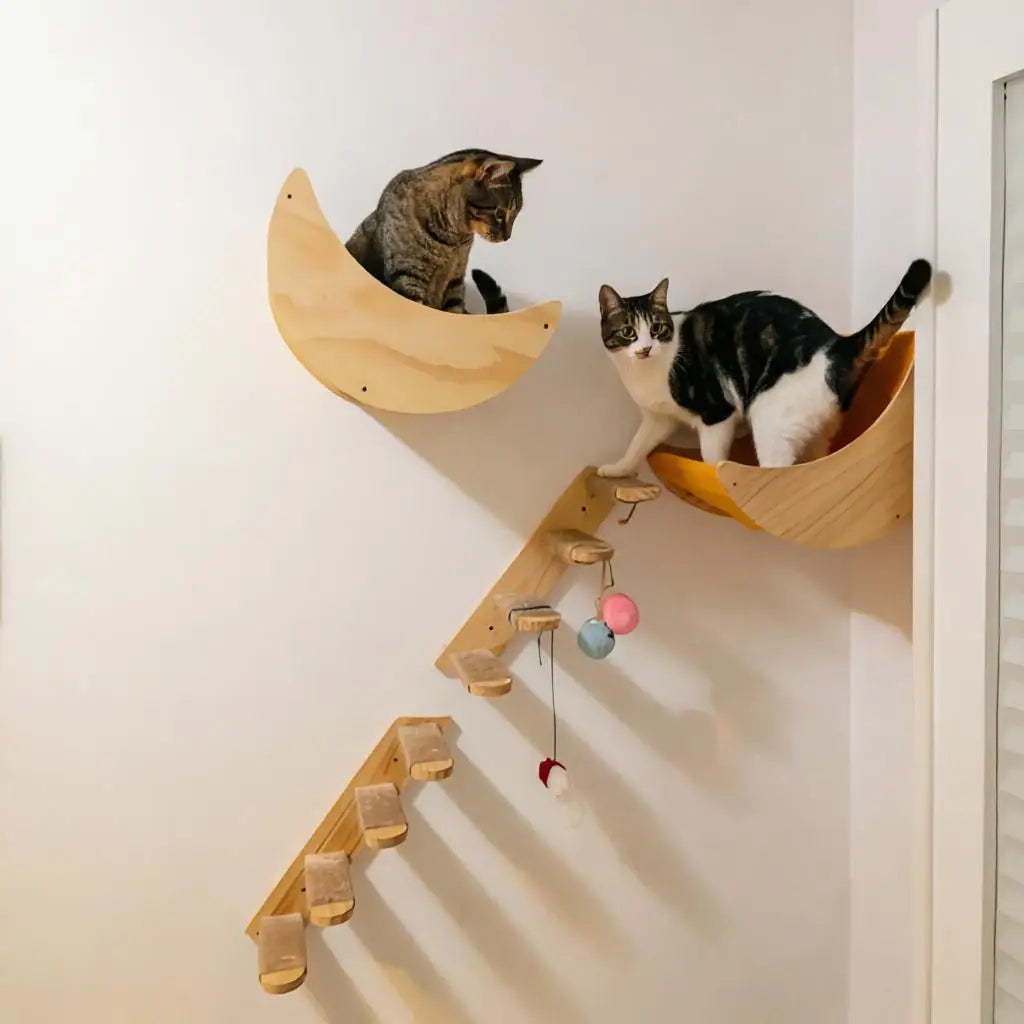 Cat Wall Hiding House Hammock Climbing Shelves Moon Perches Bed Ladder Solid Wood Steps For Activity Indoor Cats Wall Furniture