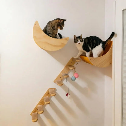 Cat Wall Hiding House Hammock Climbing Shelves Moon Perches Bed Ladder Solid Wood Steps For Activity Indoor Cats Wall Furniture