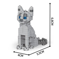 Cat Blocks