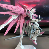 ZY-06