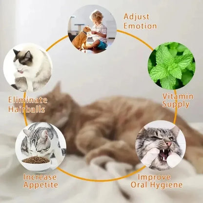4 in 1 Rotating Catnip Silver Vine Ball Teeth Cleaning Acne Prevention Digestive Health Wall Stick on Toy Edible Safe Material