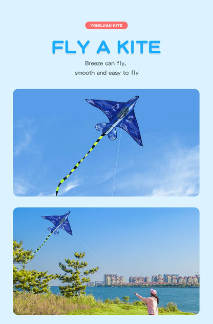 YongJian Plane Kites With Handle And Line Good Flying kites for kids ages 14+Outdoor Fun Sports kites