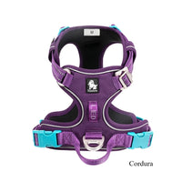 cordur-PURPLE