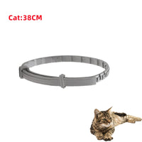Cat 38cm OPP