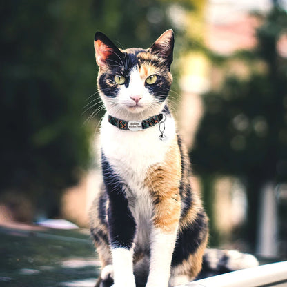 Personalized Printed Cat Collar Adjustable Kitten Puppy Collars With Free Engraved ID Nameplate Bell Anti-lost Cats Collars