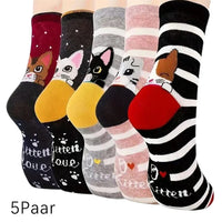5 Pairs