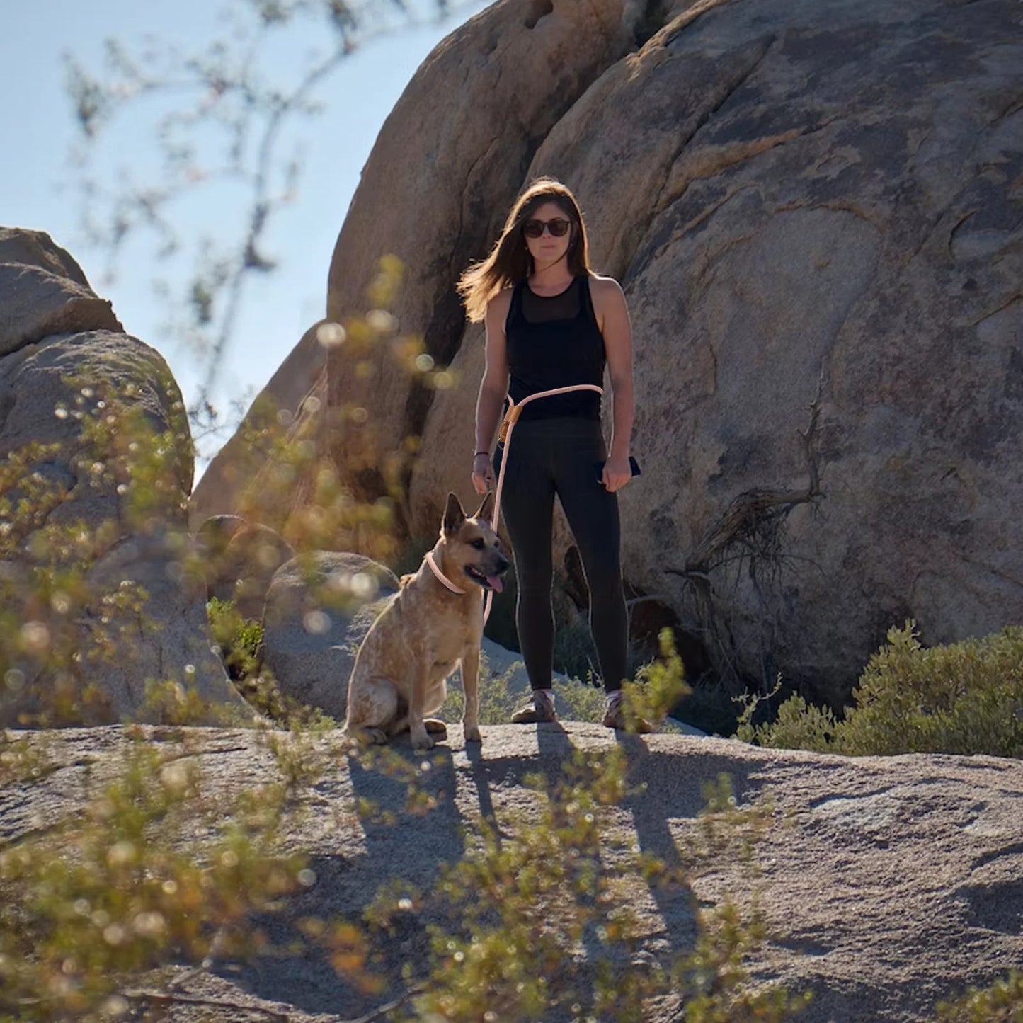 Multi-functional adjustable P-shape dog leash Chain Traction Rope Leads for Running Walking Free hands free leashes