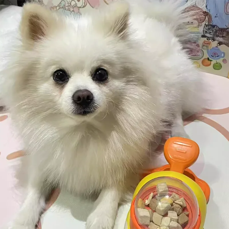 Pet cat and dog toy, little yellow duck pattern, pet intelligence, self-entertainment, food transmitter, leaky food toy