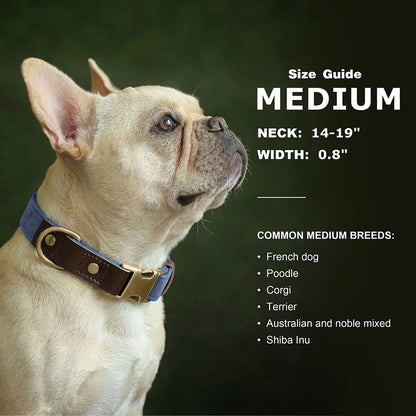 Personalized Dog Collar Leash PU Leather Dog Collars With Walking Lead Rope Free Custom Pet ID Necklace for Small Large Dogs Pug