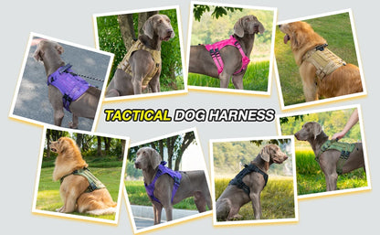 Tactical Chest Strap Large Dog Explosion proof Outdoor Anti slip Tank Top Pet Traction Dog Harness Reinforcement Loop Dog Walkin