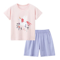 2pcs-httz-feima