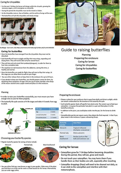 Collapsible Insect Cage Mesh Habitat Bird Butterfly Mantis Stick Grid Breeding Cricket Net Cloth Farm Cocoon Silkworm Hatch Cage