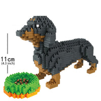 Small Dachshund