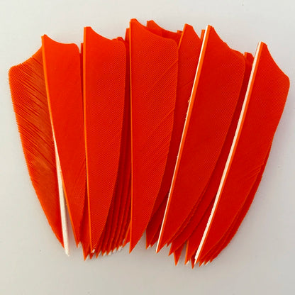 50Pcs 3 Inch Turkey Arrow Feathers Right  Wings Shield Cut Archery Feather Fletching for Bow and Arrow Accessories