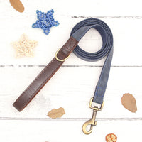 Blue Leash
