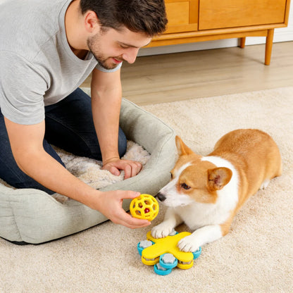 Dog Hollow Ball Toy Rubber Chew Toys for Dogs Cleaning Teeth Molar Bite Resistant Toy with Bell Puppy Training Game