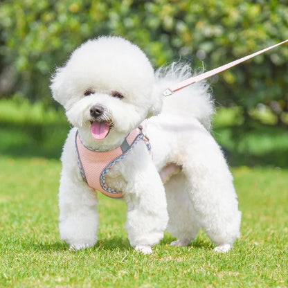Outdoor Walking Pincher Dog Harness and Leash Set for Small Medium Dogs Chihuahua mascotas Vest Harnesses Pomerian Accessories