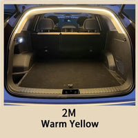 2M Dynamic LED WY